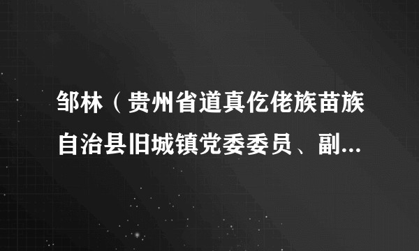 邹林（贵州省道真仡佬族苗族自治县旧城镇党委委员、副书记、镇长）