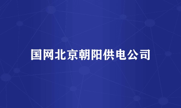 国网北京朝阳供电公司