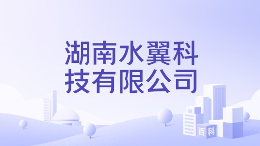 湖南水翼科技有限公司