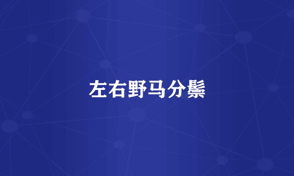 左右野马分鬃