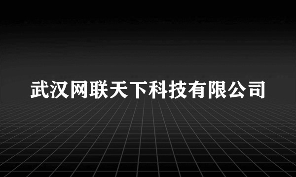 武汉网联天下科技有限公司