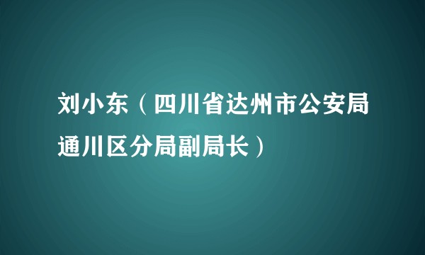 刘小东（四川省达州市公安局通川区分局副局长）