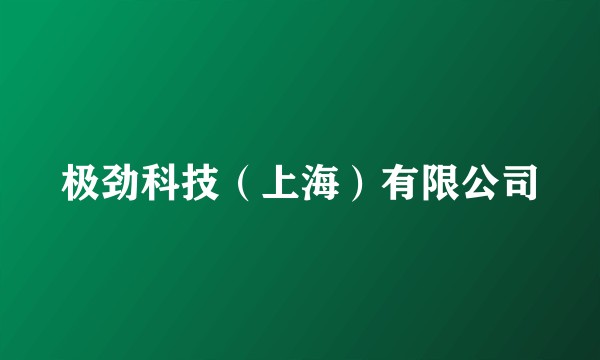 极劲科技(上海)有限公司
