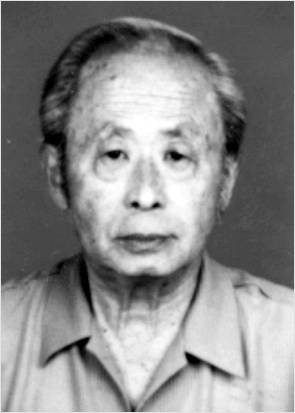 张挺（中国现代文学研究学者、作家协会会员）