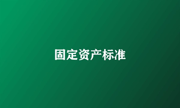固定资产标准