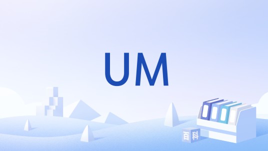 UM(民航运输用语)