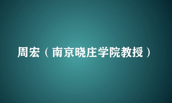 周宏（南京晓庄学院教授）