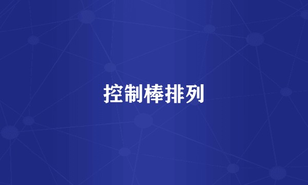 控制棒排列