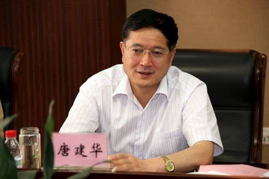唐建华(原重庆市公安局副局长)