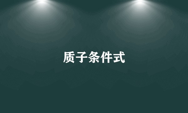质子条件式