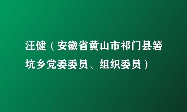汪健(安徽省黄山市祁门县箬坑乡党委委员、组织委员)