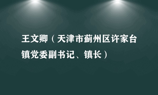 王文卿（天津市蓟州区许家台镇党委副书记、镇长）