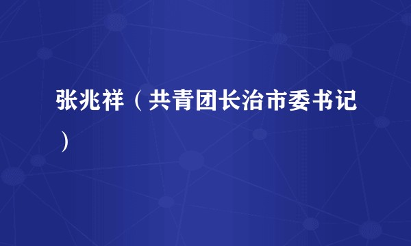 张兆祥（共青团长治市委书记）