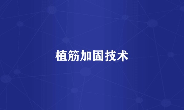 植筋加固技术