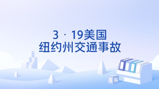 3·19美国纽约州交通事故
