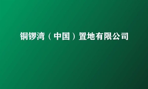 铜锣湾（中国）置地有限公司