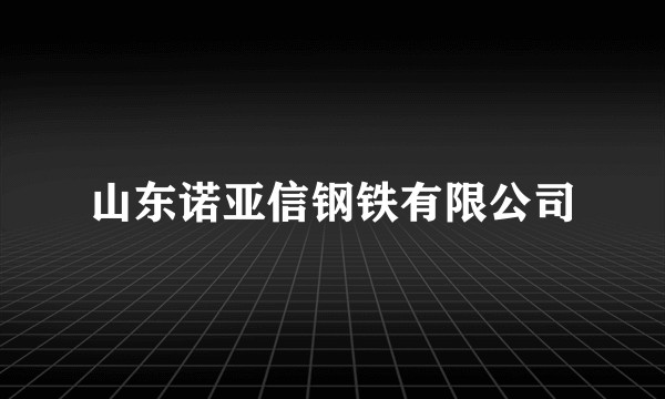 山东诺亚信钢铁有限公司