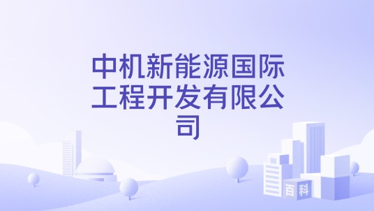 中机新能源国际工程开发有限公司