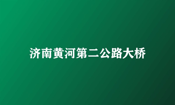 济南黄河第二公路大桥