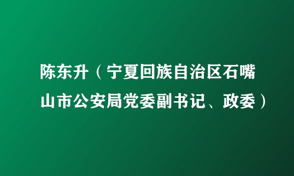 陈东升（宁夏回族自治区石嘴山市公安局党委副书记、政委）