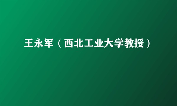 王永军（西北工业大学教授）