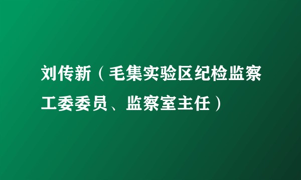 刘传新（毛集实验区纪检监察工委委员、监察室主任）