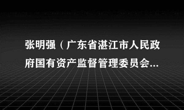 张明强（广东省湛江市人民政府国有资产监督管理委员会党委委员、副主任、正处级）
