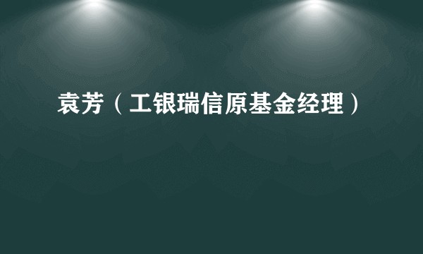 袁芳（工银瑞信原基金经理）