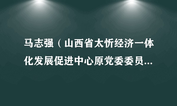 马志强（山西省太忻经济一体化发展促进中心原党委委员、副主任，忻州市忻府区原区委书记）