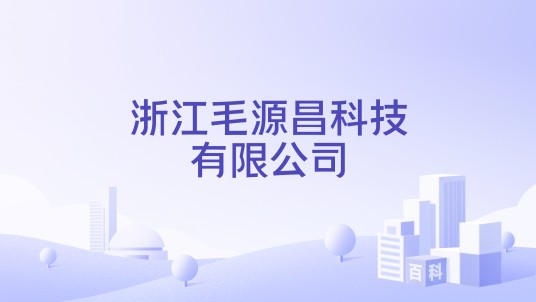 浙江毛源昌科技有限公司