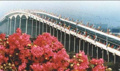 奉浦大桥