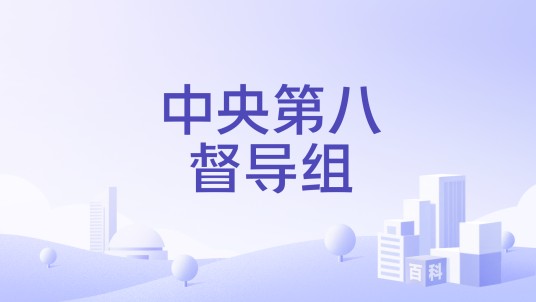 中央第八督导组