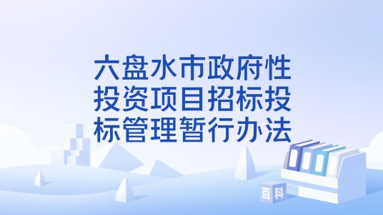 六盘水市政府性投资项目招标投标管理暂行办法