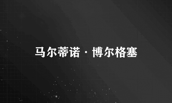 马尔蒂诺·博尔格塞