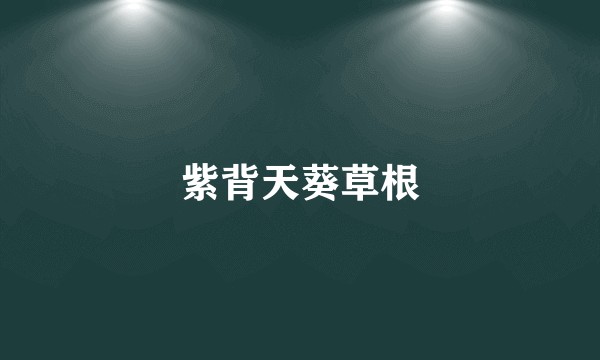 紫背天葵草根