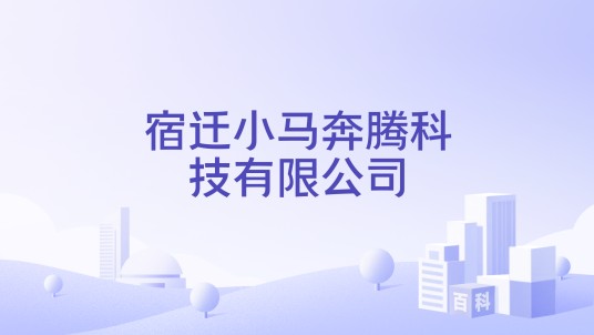 宿迁小马奔腾科技有限公司