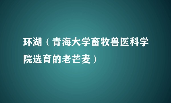 环湖（青海大学畜牧兽医科学院选育的老芒麦）