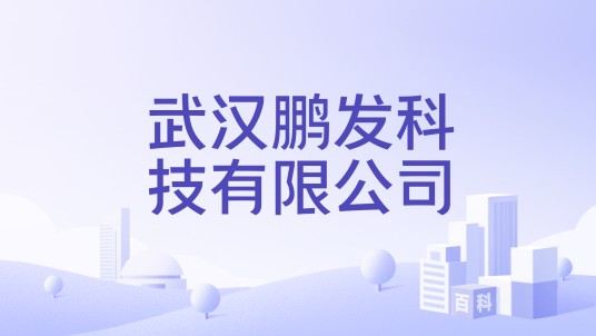 武汉鹏发科技有限公司