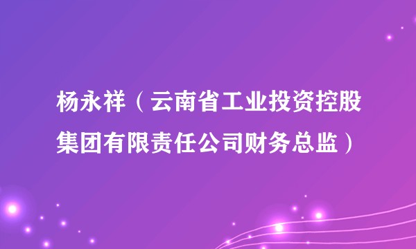 杨永祥（云南省工业投资控股集团有限责任公司财务总监）
