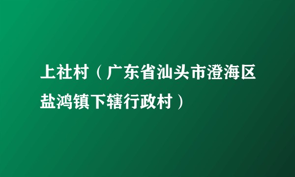 上社村（广东省汕头市澄海区盐鸿镇下辖行政村）