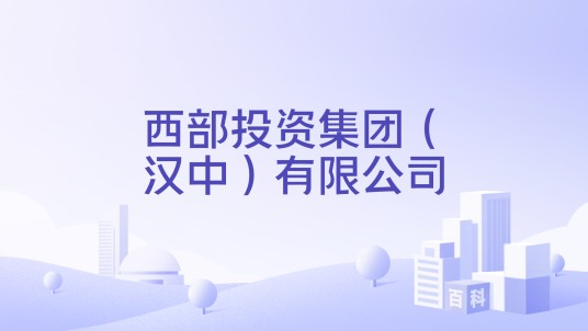 西部投资集团（汉中）有限公司