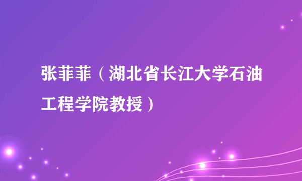 张菲菲（湖北省长江大学石油工程学院教授）