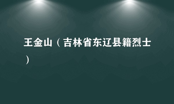 王金山（吉林省东辽县籍烈士）