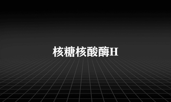 核糖核酸酶H