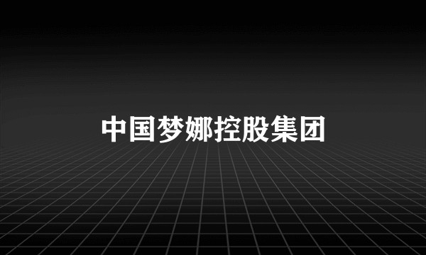 中国梦娜控股集团