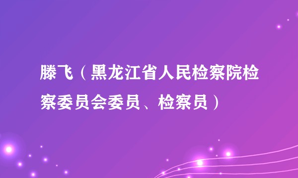 滕飞（黑龙江省人民检察院检察委员会委员、检察员）