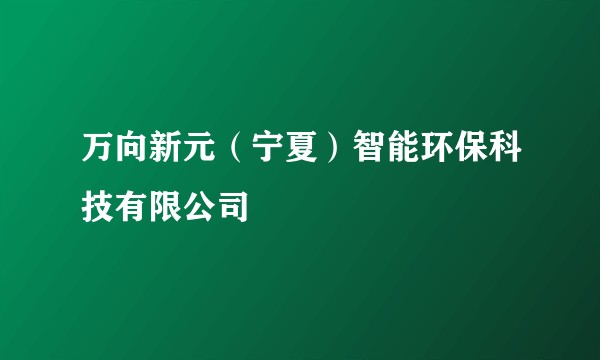 万向新元（宁夏）智能环保科技有限公司