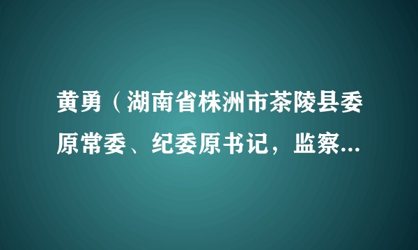 黄勇（湖南省株洲市茶陵县委原常委、纪委原书记，监察委原主任）