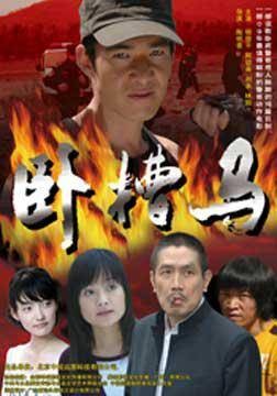 卧槽马(2009年陶明喜执导的动作电影)