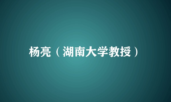 杨亮（湖南大学教授）